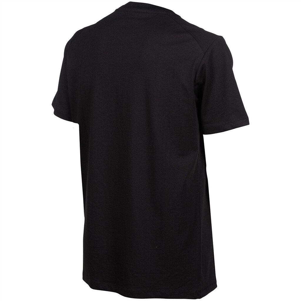 Arena - Team T-Shirt Panel - black